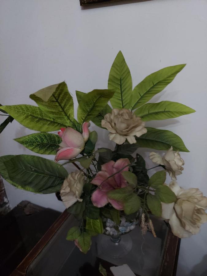 Al Moayad Apartment Near To Genina Mall, Abbas Al Akkad Каїр Екстер'єр фото